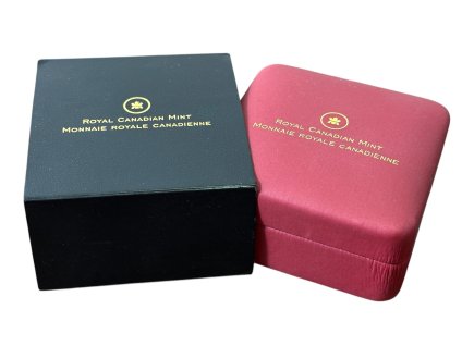 67678 2 67678 2 photoroom 003 20250307 144940