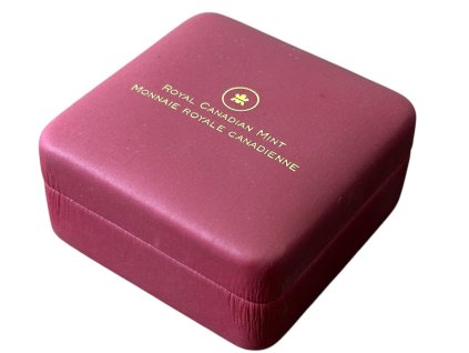 67678 3 67678 3 photoroom 004 20250307 144940