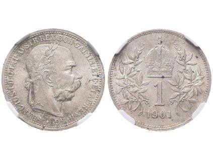 70570 70570 70570 4540 g