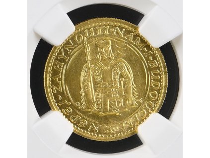 73183 2 ngc8361120 017 a