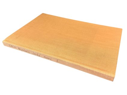 74725 74725 nejstarsi ceske mince i dil