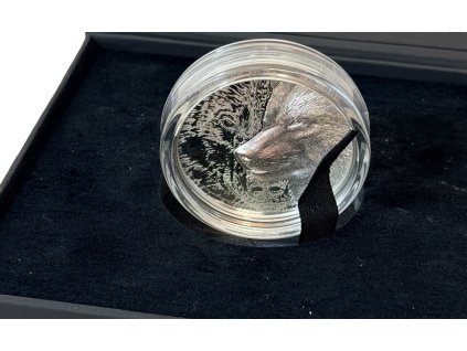 Photoroom 000 20260126 140051