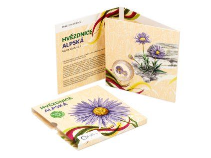 Dašek Martin - Hvězdnice Alpská