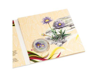 Dašek Martin - Hvězdnice Alpská