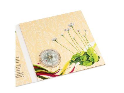 Dašek Martin - Tolije Bahenní