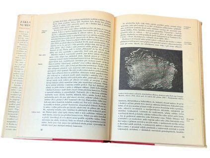 Základy Numismatiky