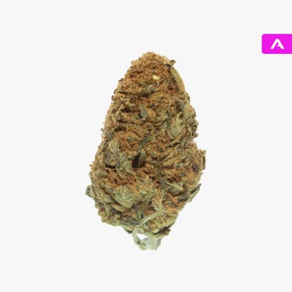 BUBBA 01