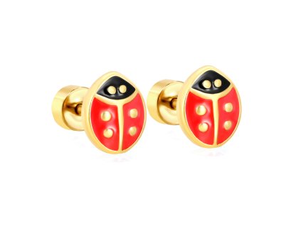 ed21 ladybug 1