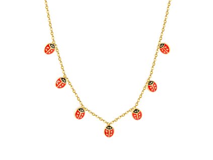 nd1 ladybug 2