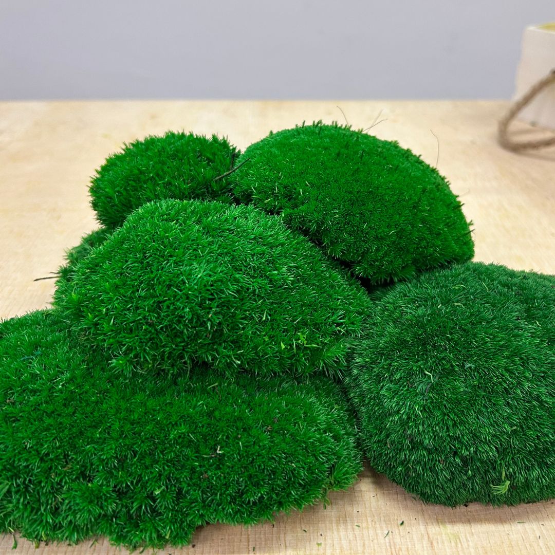 Aurimoss – panel z machu na stene