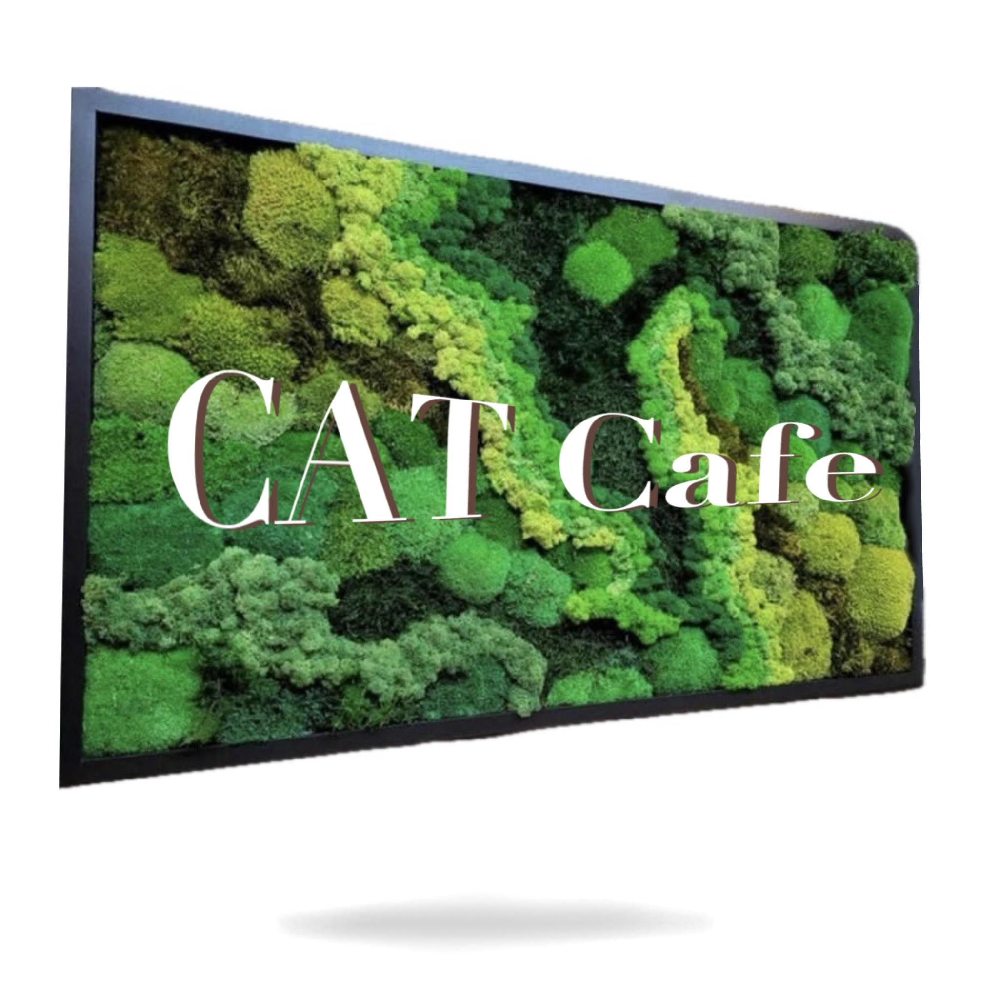 Machové produkty pre firmy