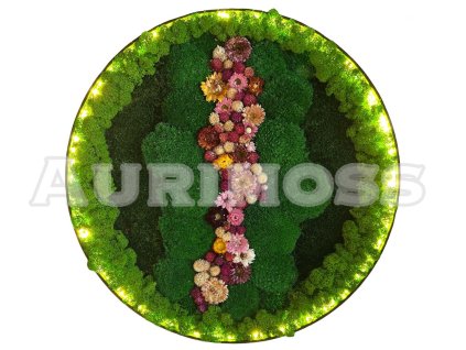 Machový obraz s kvetmi a podsvietením