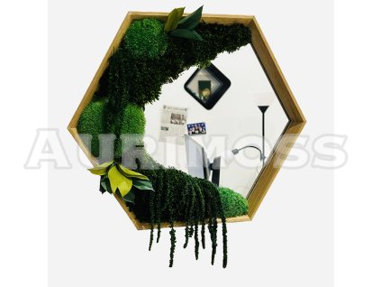 Untitled4 20251123202453