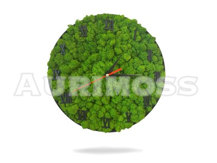 Mohóra poros órák