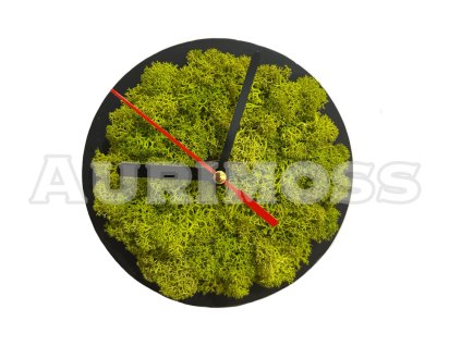 Machové mini hodinky s lišajníkom lime green