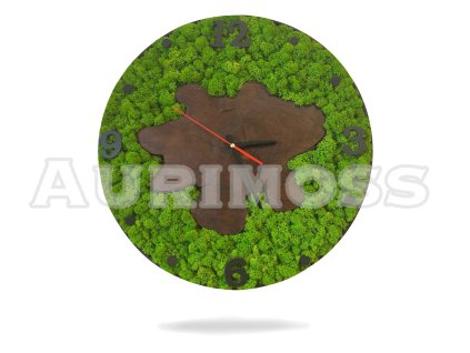 Armbanduhr mit Flechte und Baumstumpf