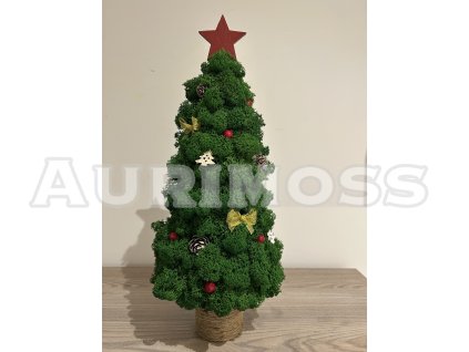 Weihnachtsbäumchen mit Flechte