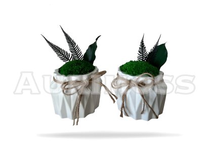 Vase mit hügeligem Moos und Pflanzen