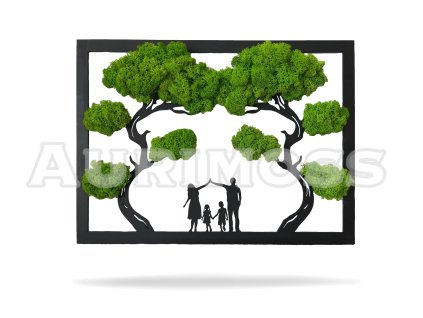 Bonsai – Moosbaum des Glücks