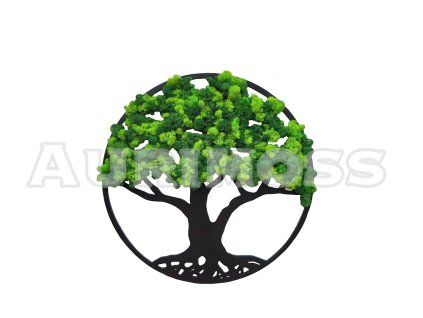 Machový obraz – Machový strom  – prírodná dekorácia – Aurimoss