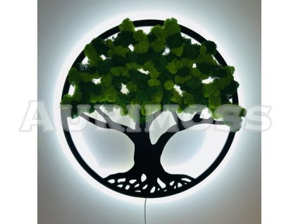 Machové drevo s LED podsvietením a rôznymi druhmi lišajníka