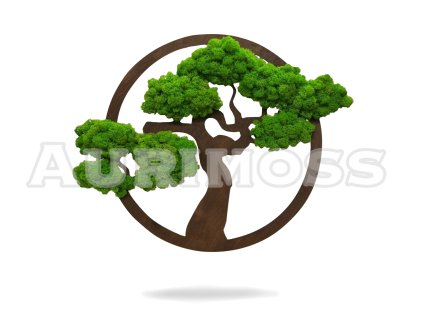 Holzbonsai mit Flechte