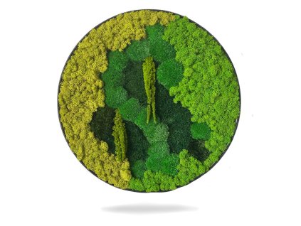 Machový Obraz Kruh – Mix Machov s LED podsvietením