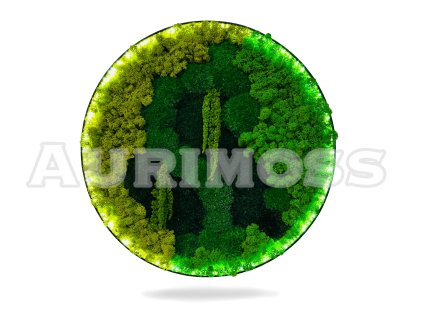 Dekoratívny machový obraz  a LED podsvietením