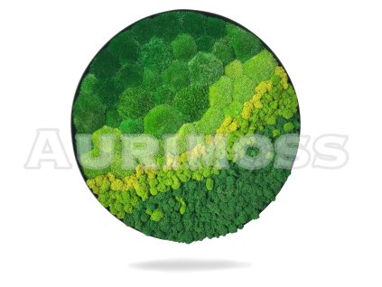 Kruhový mechový obrázek Harmonie