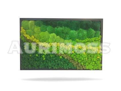 Kwadratowy obraz z mchu Harmonia