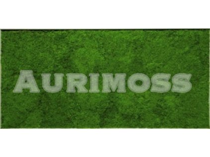 Mooswand aus Flachmoos Grünes Leinwand