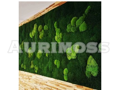 Mooswand aus Kugel- und Flachmoos Waldpanel