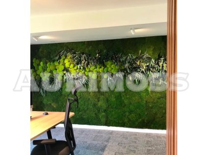 Mooswand aus verschiedenen Moosarten und Pflanzen