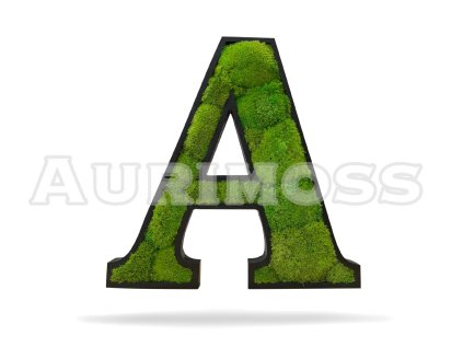 Litery z mchu pagórkowatego