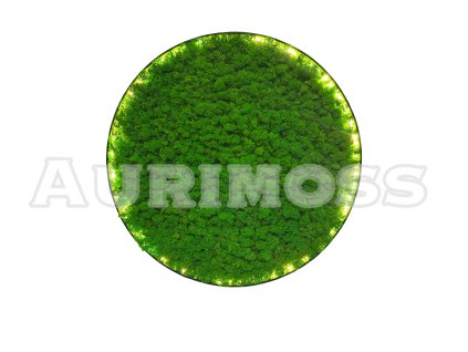 Okrúhly machový obraz s lišajníkom a podsvietením