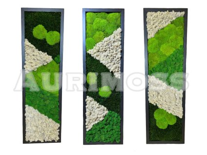 Set Moosbilder - Natürliche Harmonie