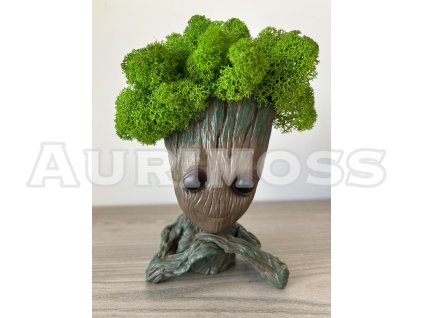 Groot 1 – Dekoratív fafigura stabilizált mohával