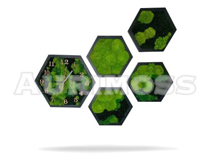Set aus Moos-Wanduhren und Moosbildern – Hexagone