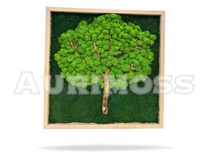 Moos- und Holzbaum Grüne Seele