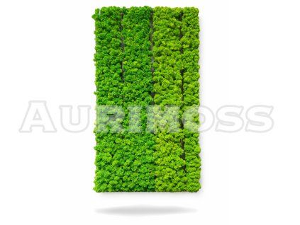 Machový panel s lišajníkom na svetlom pozadí – Aurimoss