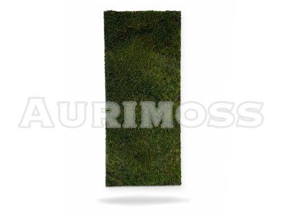 Machový panel s plochým machom na svetlom pozadí – Aurimoss