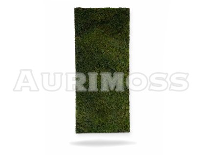 Panel z plochého mechu