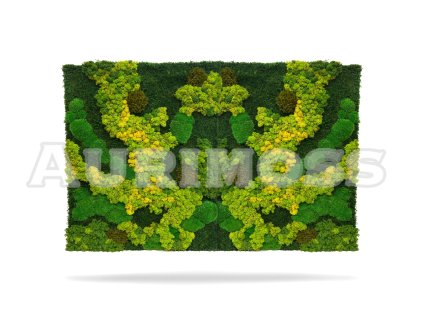 Panel mchowy – mix mchów