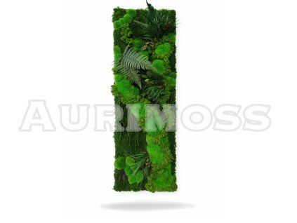 Machový panel s rastlinami na svetlom pozadí – Aurimoss