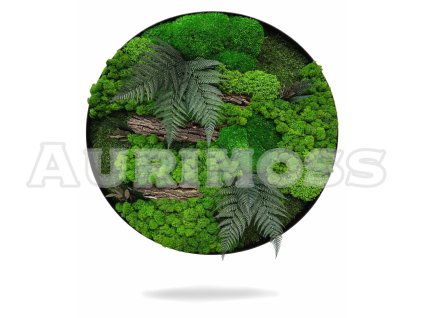 Kruhový machový obraz s mixom machu, kôrou a rastlinami – Lesný pokoj