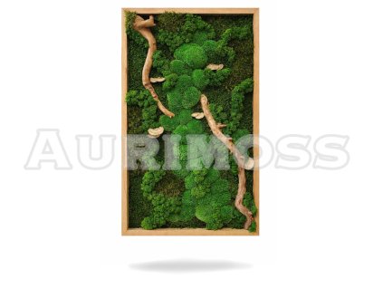 Moosbild Aurimoss – Grüne Essenz