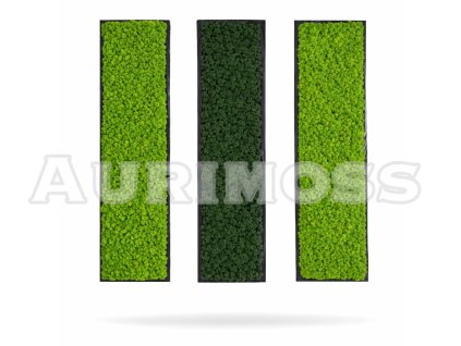 1. változat: Mohakép zuzmóval