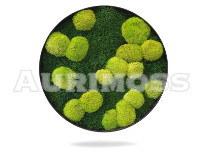 Rundes Moosbild aus Hügelmoos und Flachmoos – Moosrelief