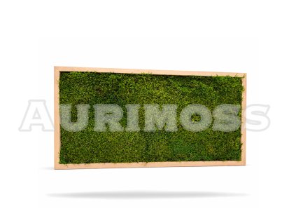 Hranatý machový obraz z long moss