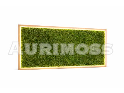 Hranatý machový obraz z long moss s podsvietením